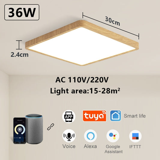 Smart LED Ceiling Lamp